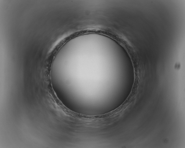 X0000111921256200907271240