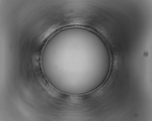 X0000111921258200907271240