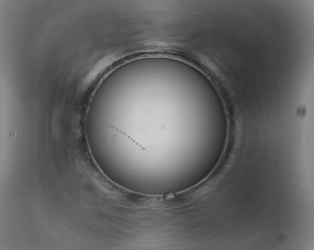 X0000111921259200907271240