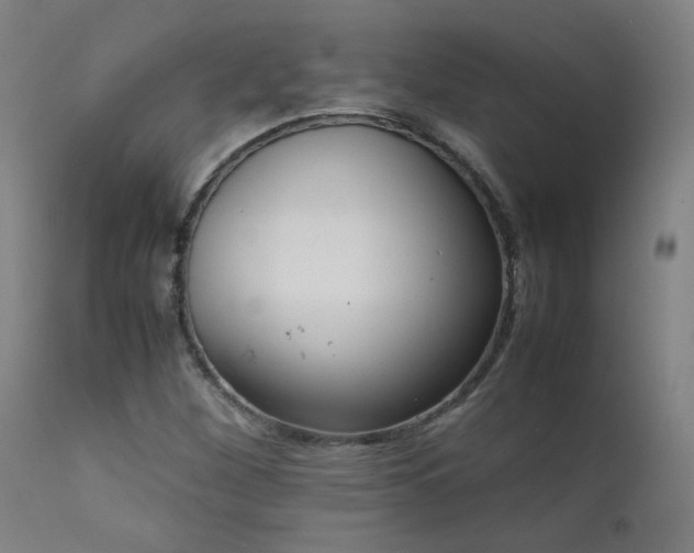 X0000111921260200907271240