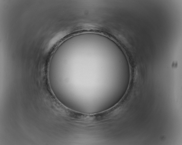 X0000111921261200907271240
