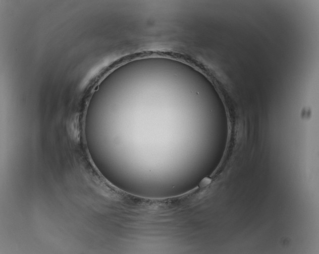 X0000111921262200907271240