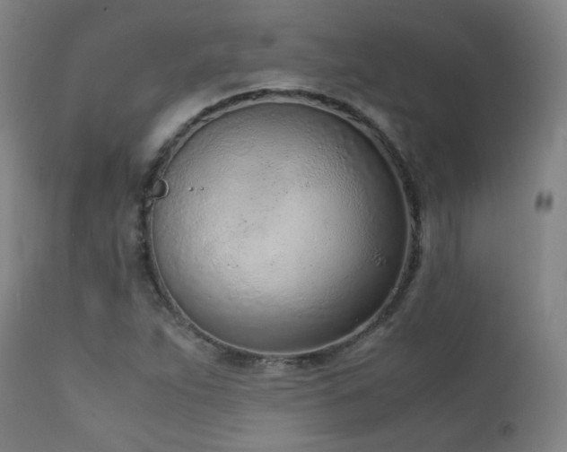 X0000111921263200907271240