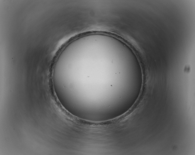 X0000111921264200907271240