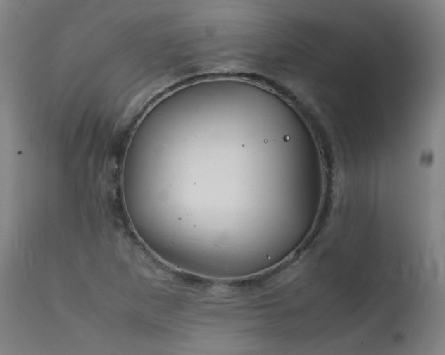 X0000111921265200907271240