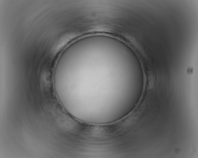 X0000111921266200907271240