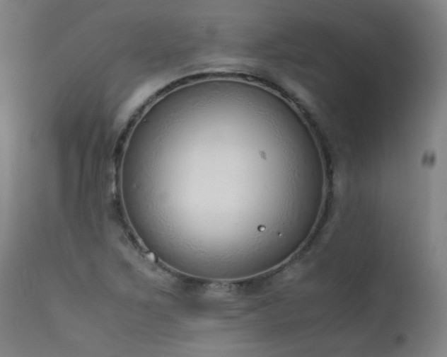 X0000111921267200907271240
