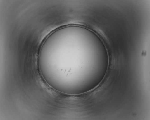 X0000111921268200907271240