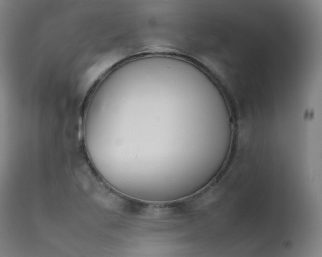 X0000111921269200907271240