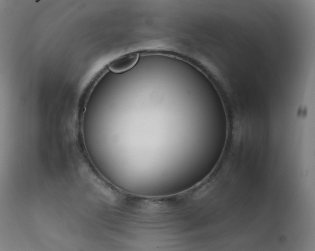 X0000111921270200907271240
