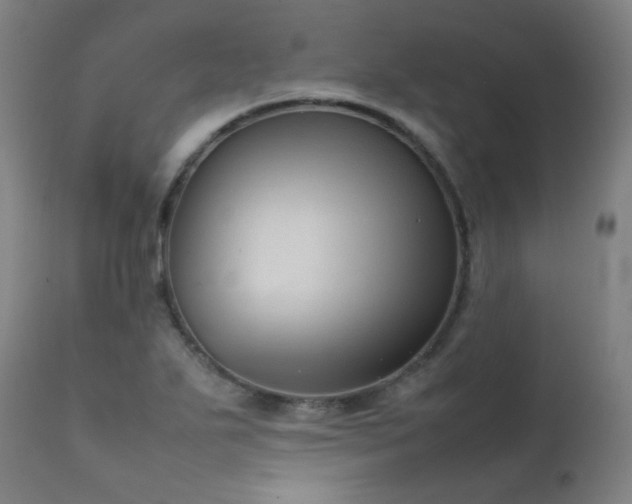 X0000111921271200907271240