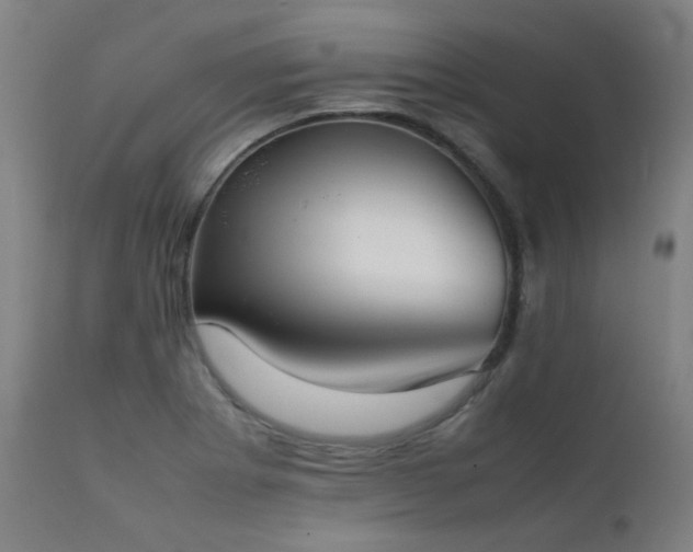 X0000111921273200907271239