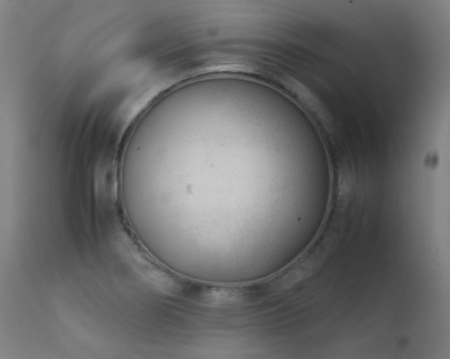 X0000111921274200907271239