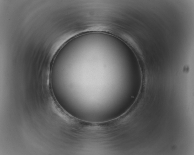 X0000111921276200907271239