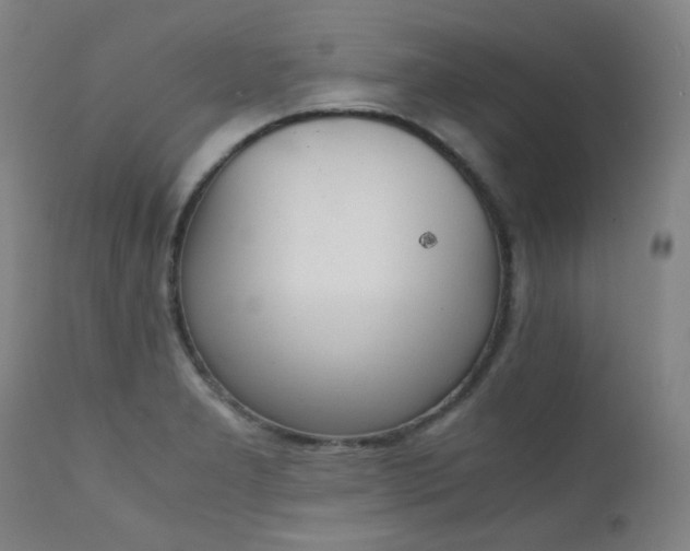 X0000111921277200907271239