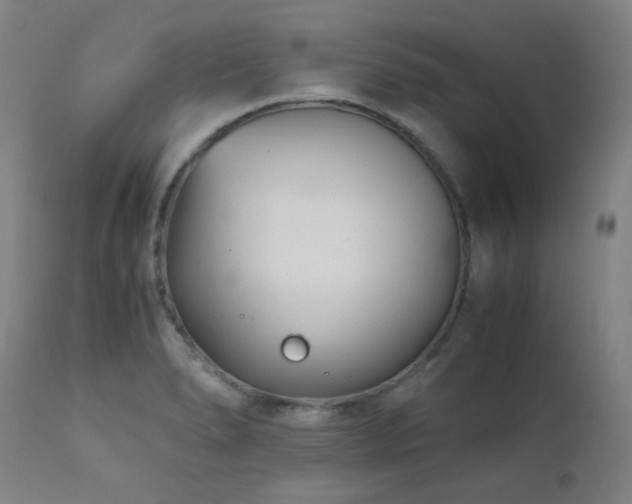 X0000111921278200907271239