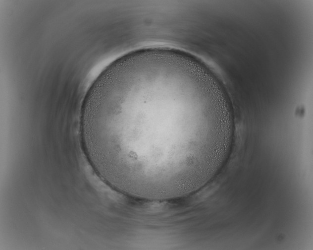 X0000111921279200907271239