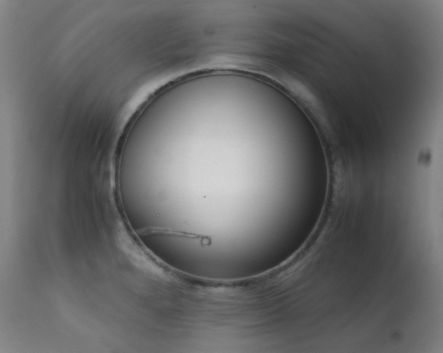 X0000111921280200907271239