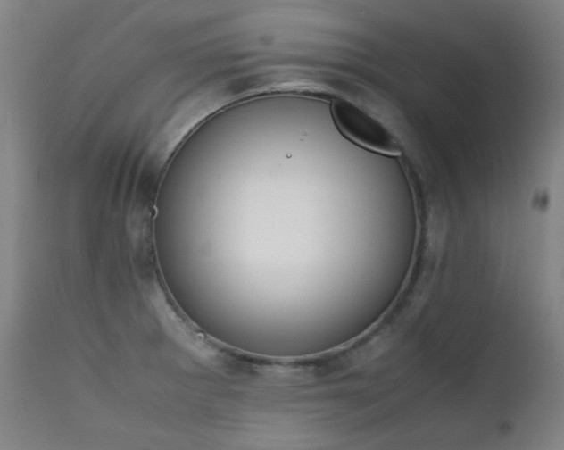 X0000111921281200907271239