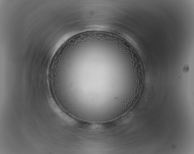 X0000111921283200907271239