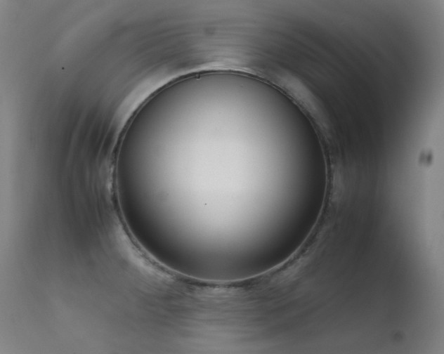 X0000111921284200907271239