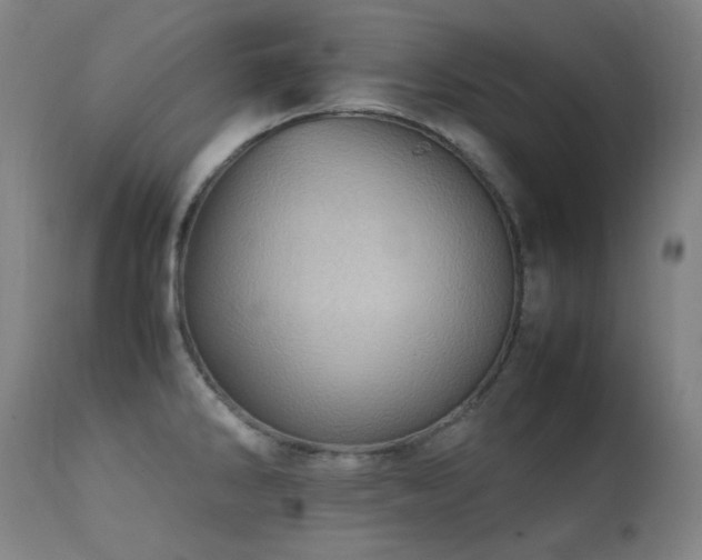 X0000111921286200907271239