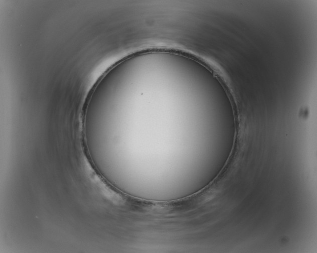 X0000111921287200907271239