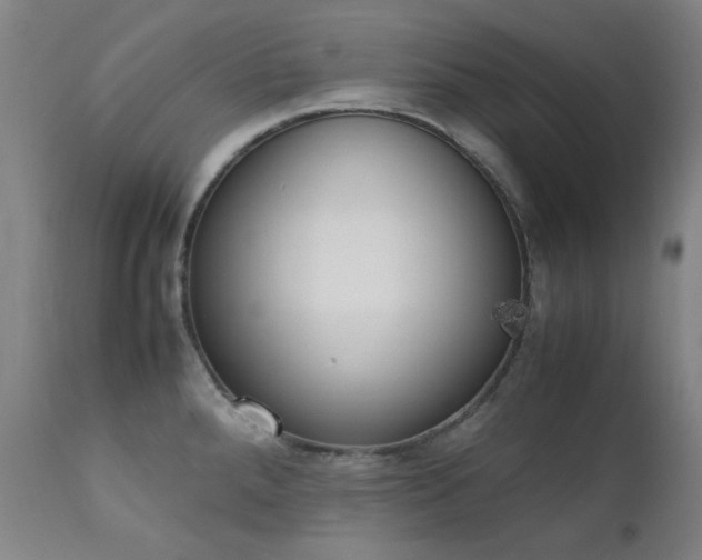 X0000111921288200907271239