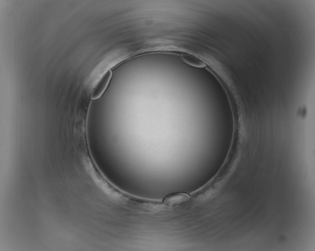 X0000111921289200907271239