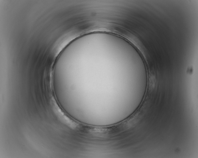 X0000111921290200907271239