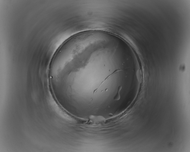 X0000111921291200907271239