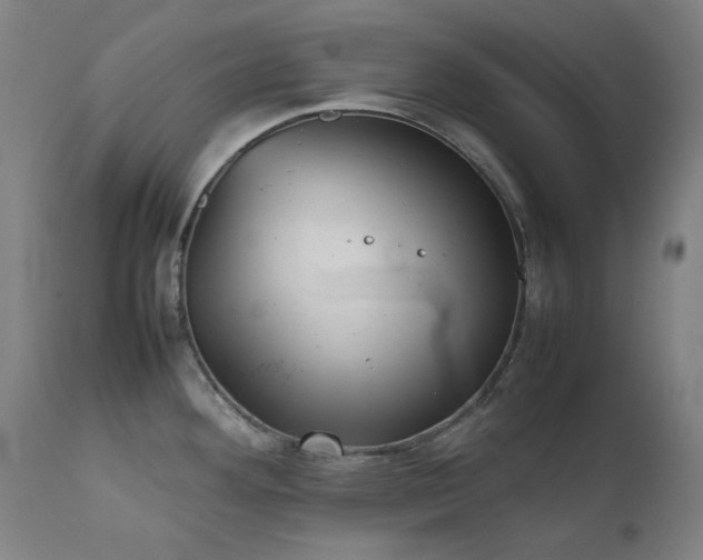 X0000111921292200907271239