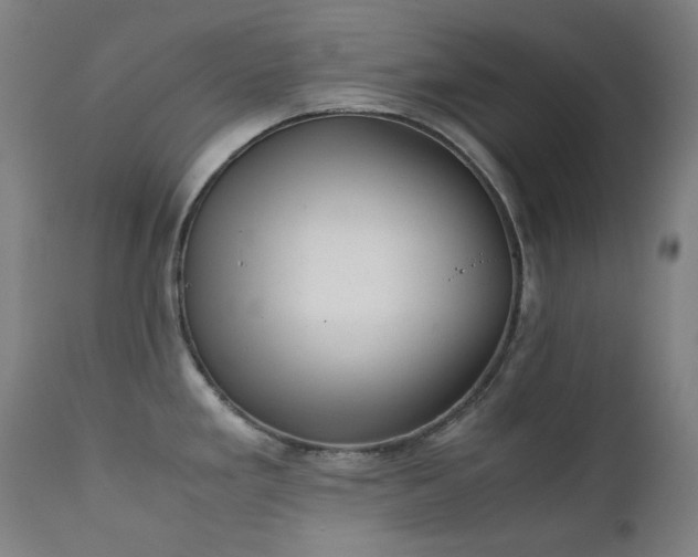 X0000111921293200907271239