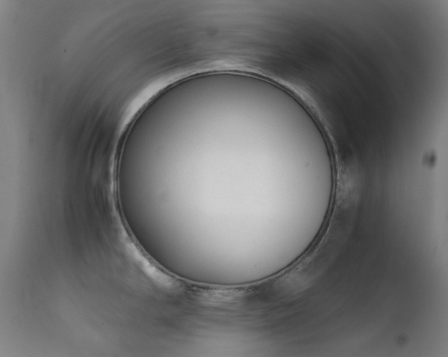 X0000111921294200907271239