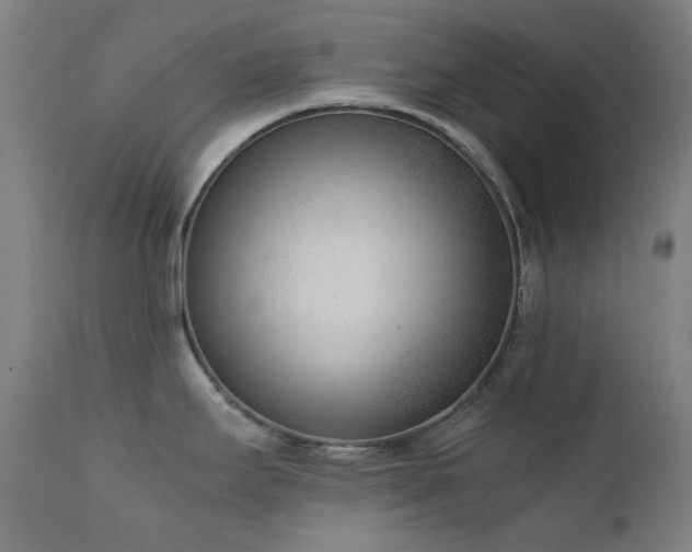 X0000111921295200907271239