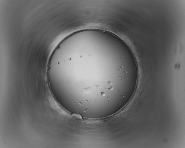 X0000111921296200907271239