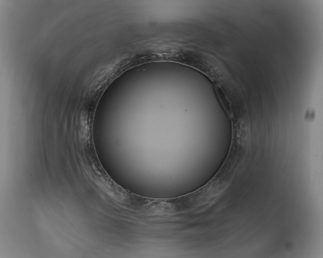 X0000111921298200907271238