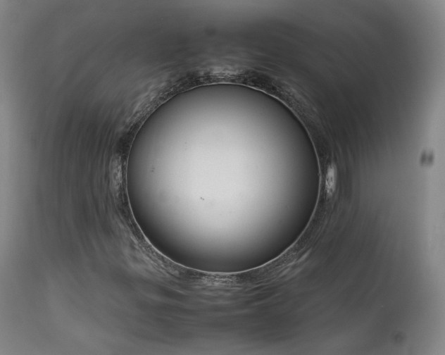 X0000111921299200907271238
