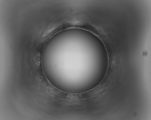 X0000111921301200907271238