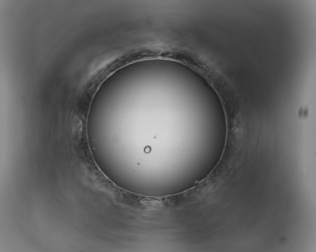 X0000111921302200907271238