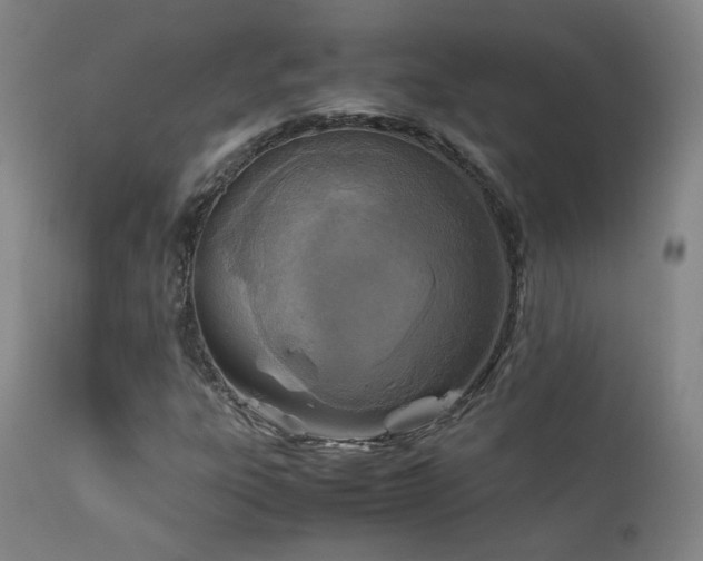 X0000111921303200907271238