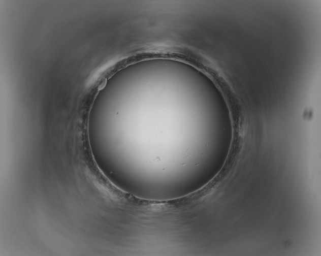 X0000111921304200907271238