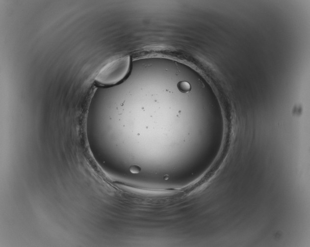 X0000111921305200907271238