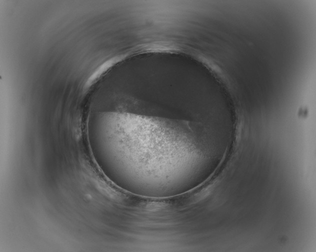 X0000111921306200907271238