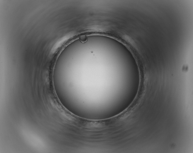 X0000111921307200907271238