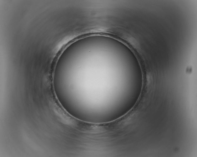 X0000111921308200907271238