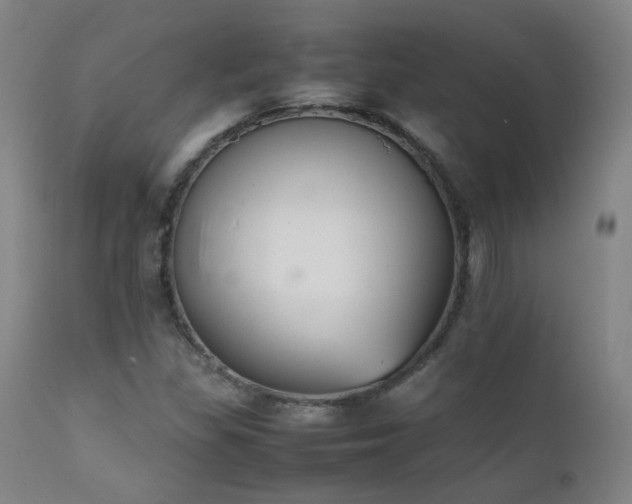 X0000111921309200907271238