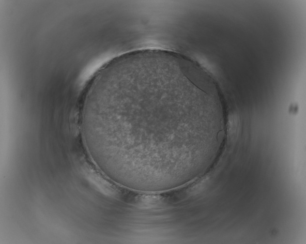 X0000111921310200907271238