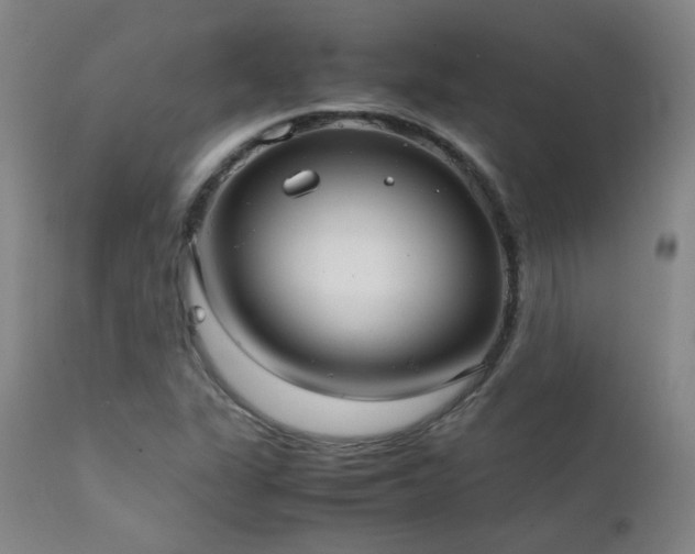 X0000111921311200907271238