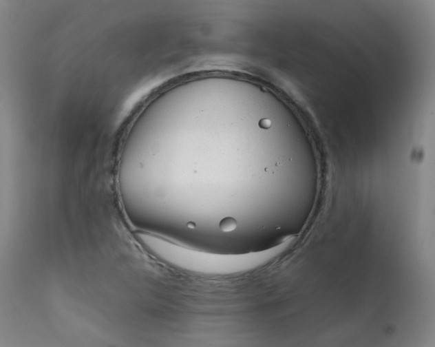 X0000111921312200907271238